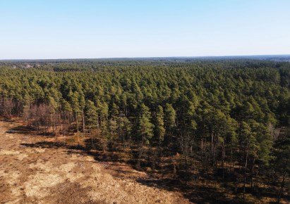 działka na sprzedaż - Kuźnia Raciborska (gw), Ruda Kozielska